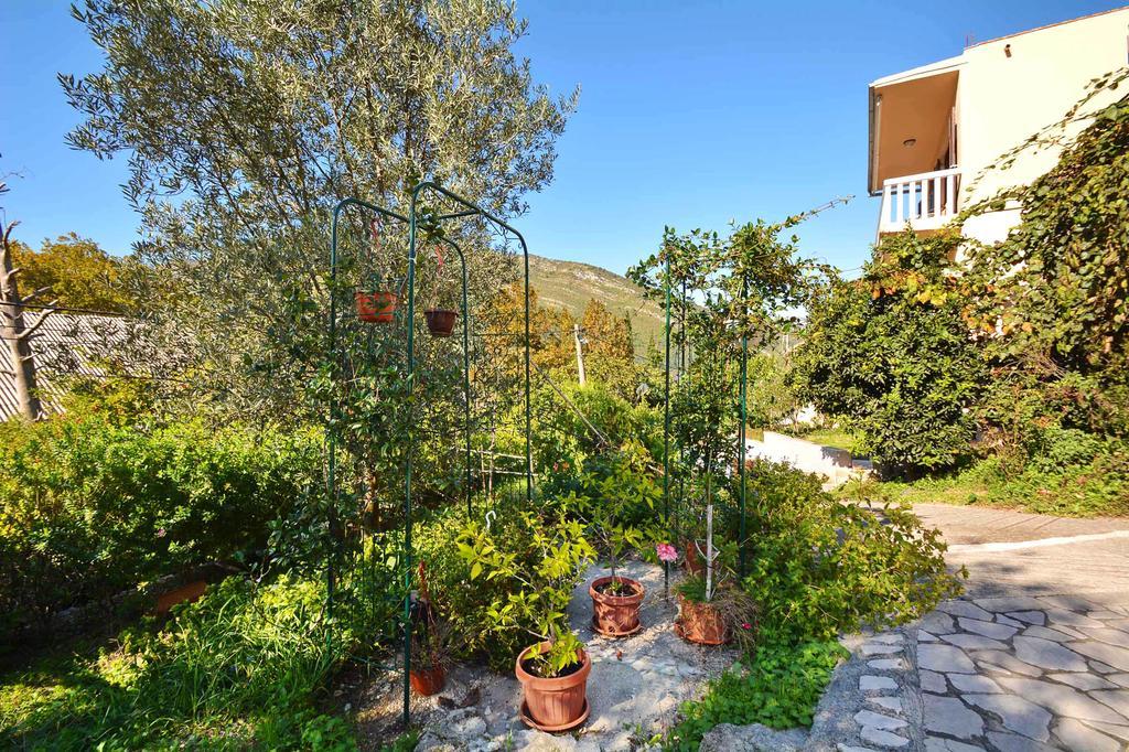 Apartment Rita Tivat Bagian luar foto